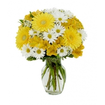Daisy a Day Bouquet Send To Philippines