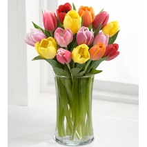 assorted tulips Send To Philippines