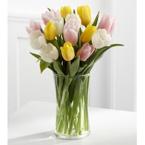 online tulips vase in philippines