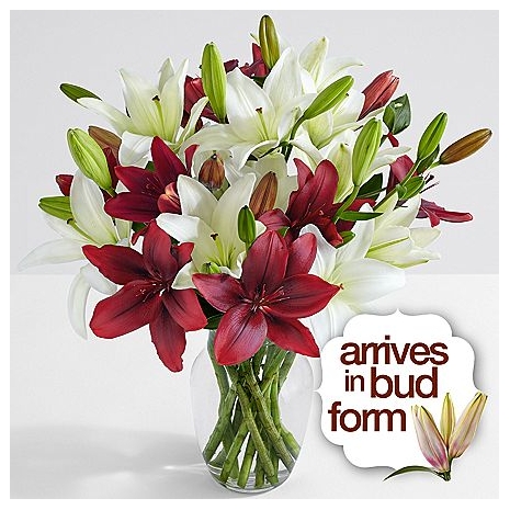 Deluxe Holiday Lilies