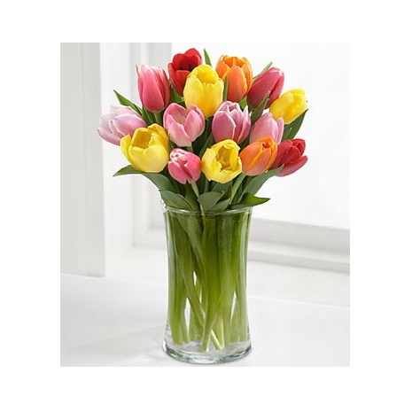 12 Colorful Mix Tulip with Free Vase