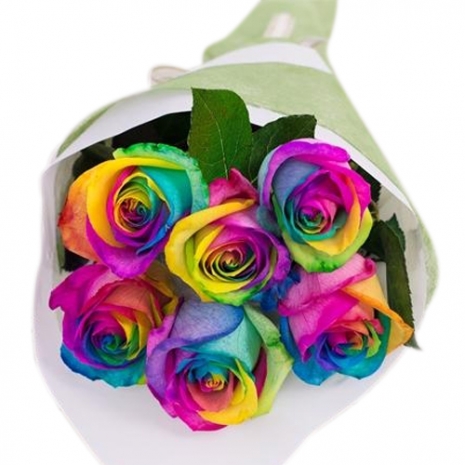 Send Rainbow Rose 6pcs to Philippines