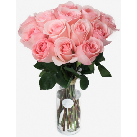 18 Light pink roses Send To Philippines