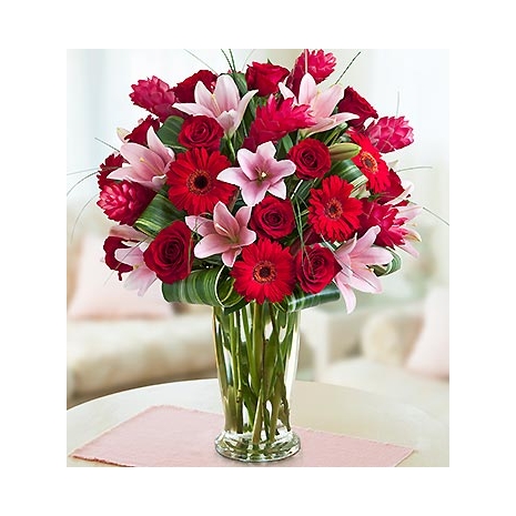 red roses,Gerbera,lilies Delivery To Philippines
