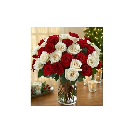 24 Hot Red & White Roses Send To Philippines