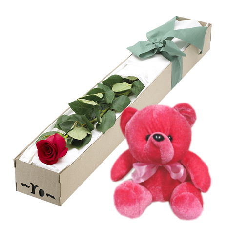 Single Red Rose in Box with Red Bear Send To Philippines