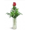 1 Red Roses in Vase with Greenery