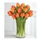 12 Orange Tulips with Free Vase
