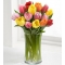 assorted tulips Send To Philippines