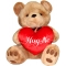 Brownie Bear w/ Hug Me Heart Send To Philippines